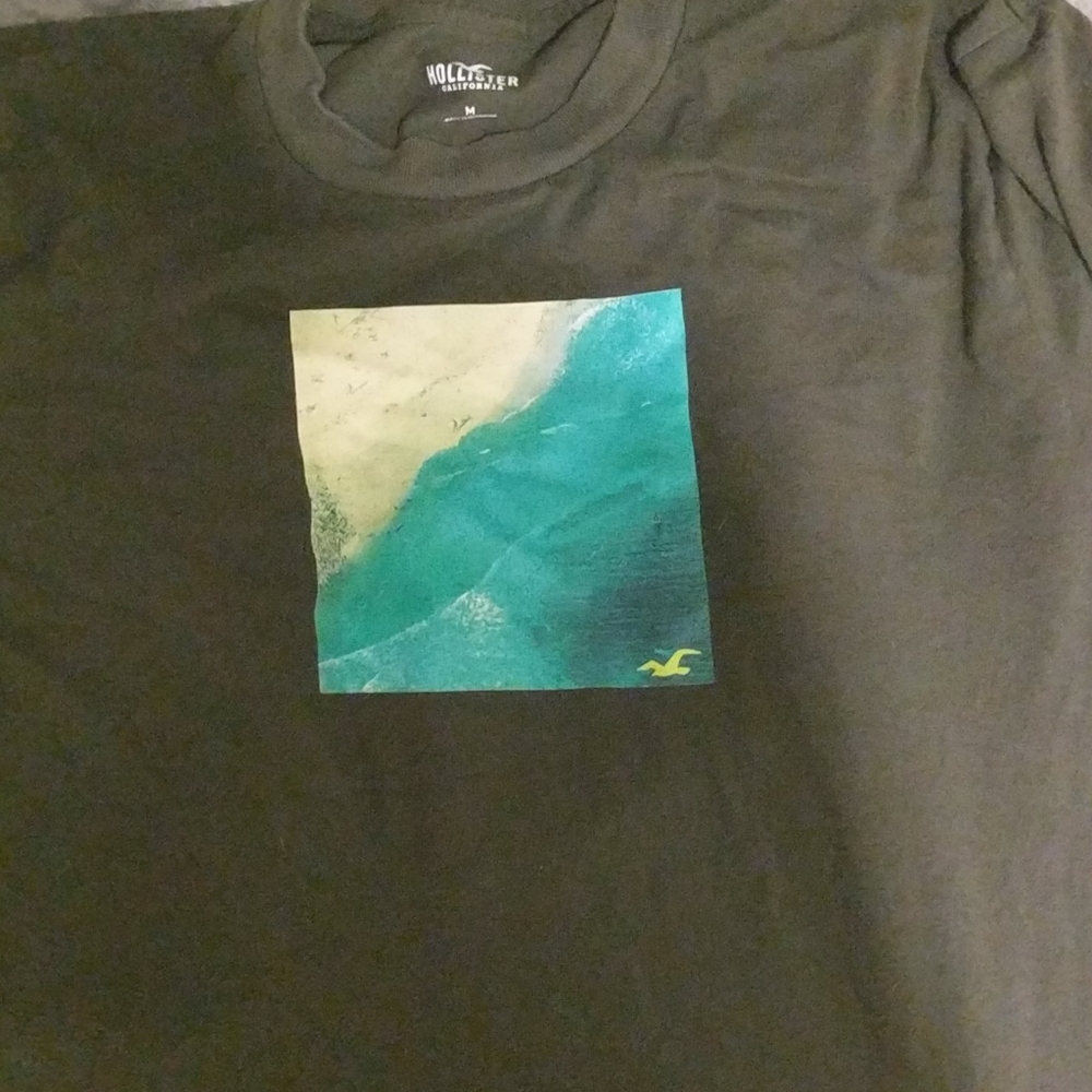 Hollister long sleeve t shirt